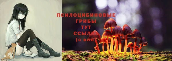 кокаин премиум Алексеевка
