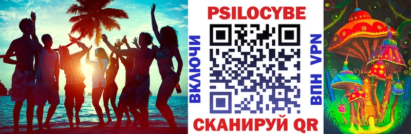 ссылка на мегу сайт  Бирюсинск  Псилоцибиновые грибы Psilocybine cubensis 